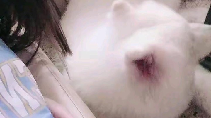 【2023-2-11 16点场】张奎o:张奎o的直播间