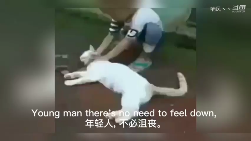 《沙雕时刻》男人的快乐莫过于此