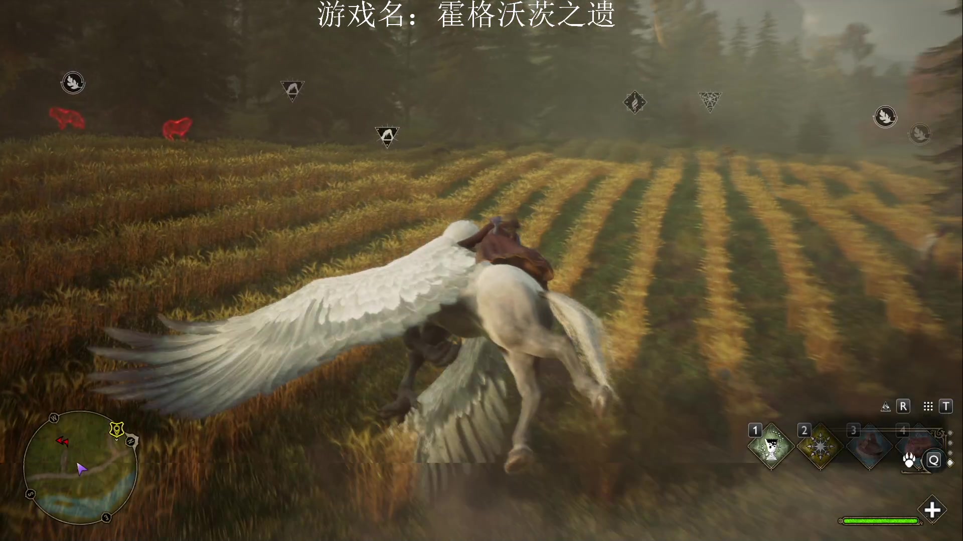 【2023-02-11 19点场】JyZhang：【Jy张】伏地魔也不怕