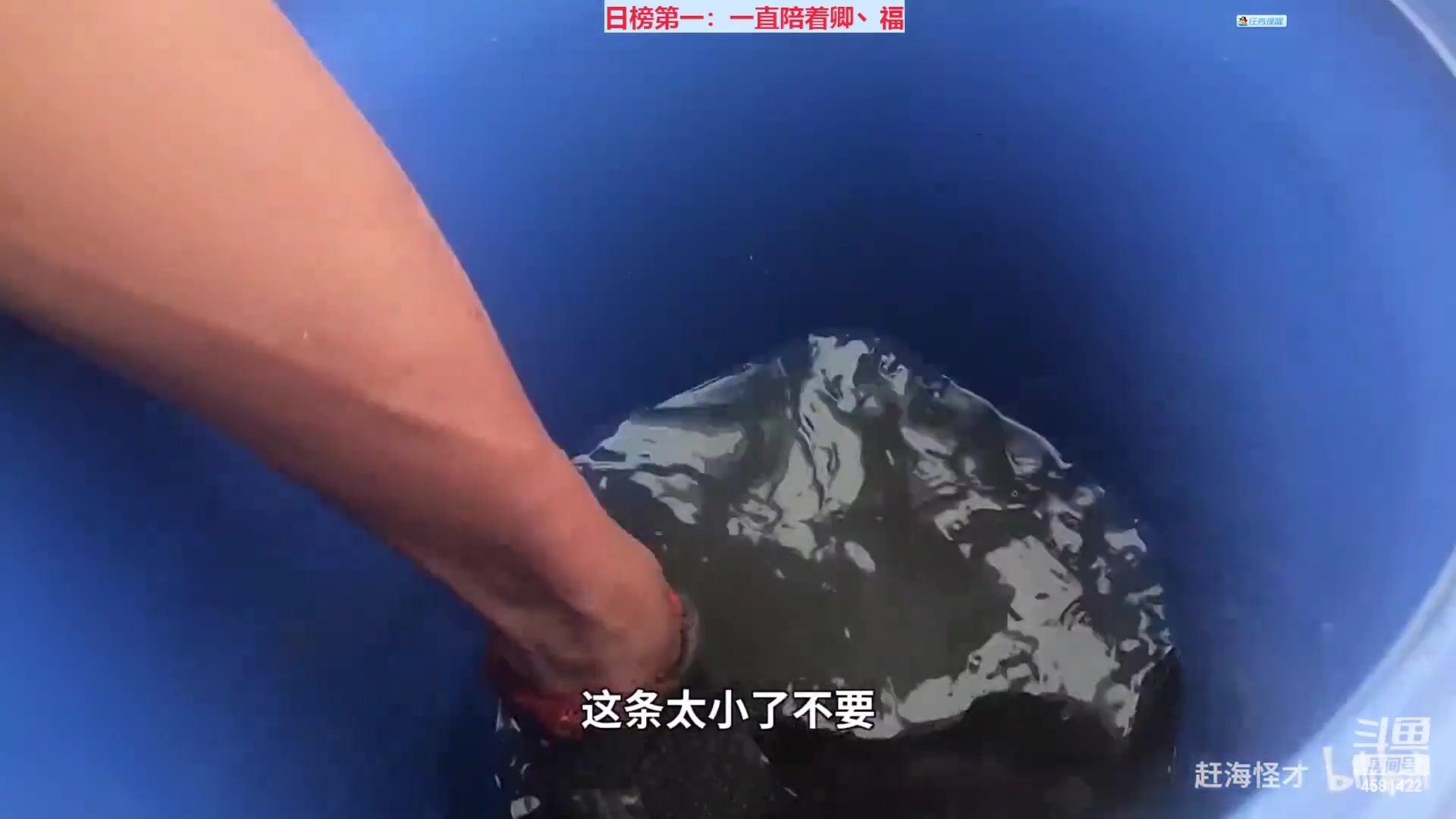 【2023-02-10 20点场】迷人的卿姐姐i：欢乐的时光开始啦~~~
