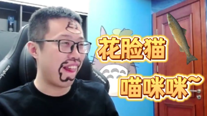 【大龙猫】花脸猫爱吃鱼~喵咪咪喵咪咪喵咪咪！