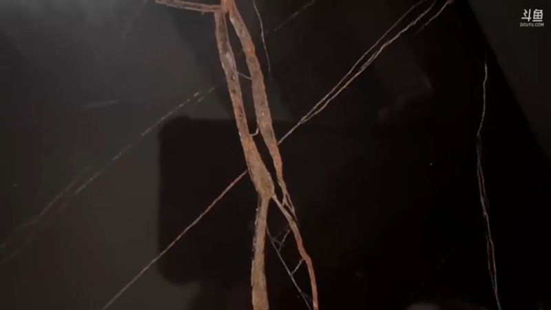 【2023-02-11 23点场】自小语：小黑屋团建 出门旅游了