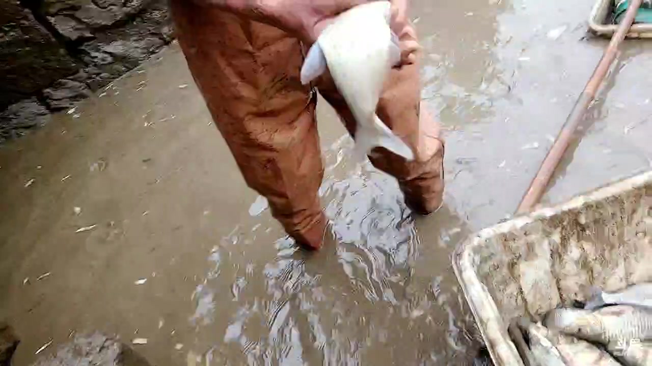 【2023-02-12 16点场】洪湖小肖：超级怼坑工程开始
