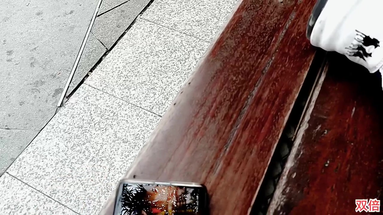 【2023-2-12 14点场】o北京斌子o:熊猫基地！