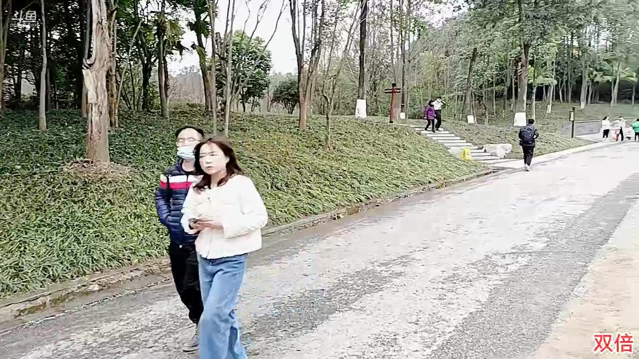 【2023-2-12 12点场】o北京斌子o:熊猫基地！