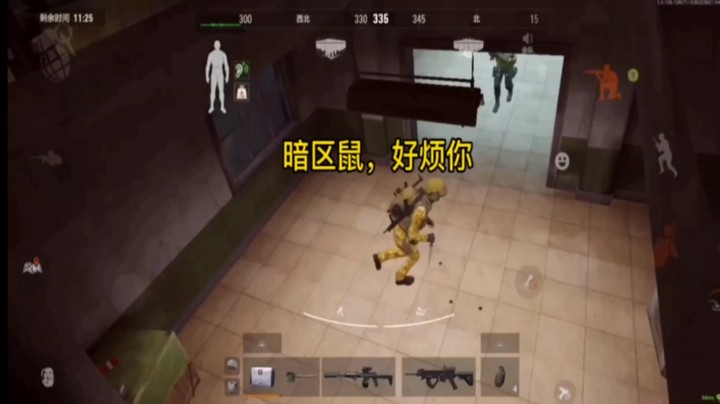 暗区鼠