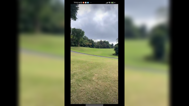 大哥带着美女打高尔夫球