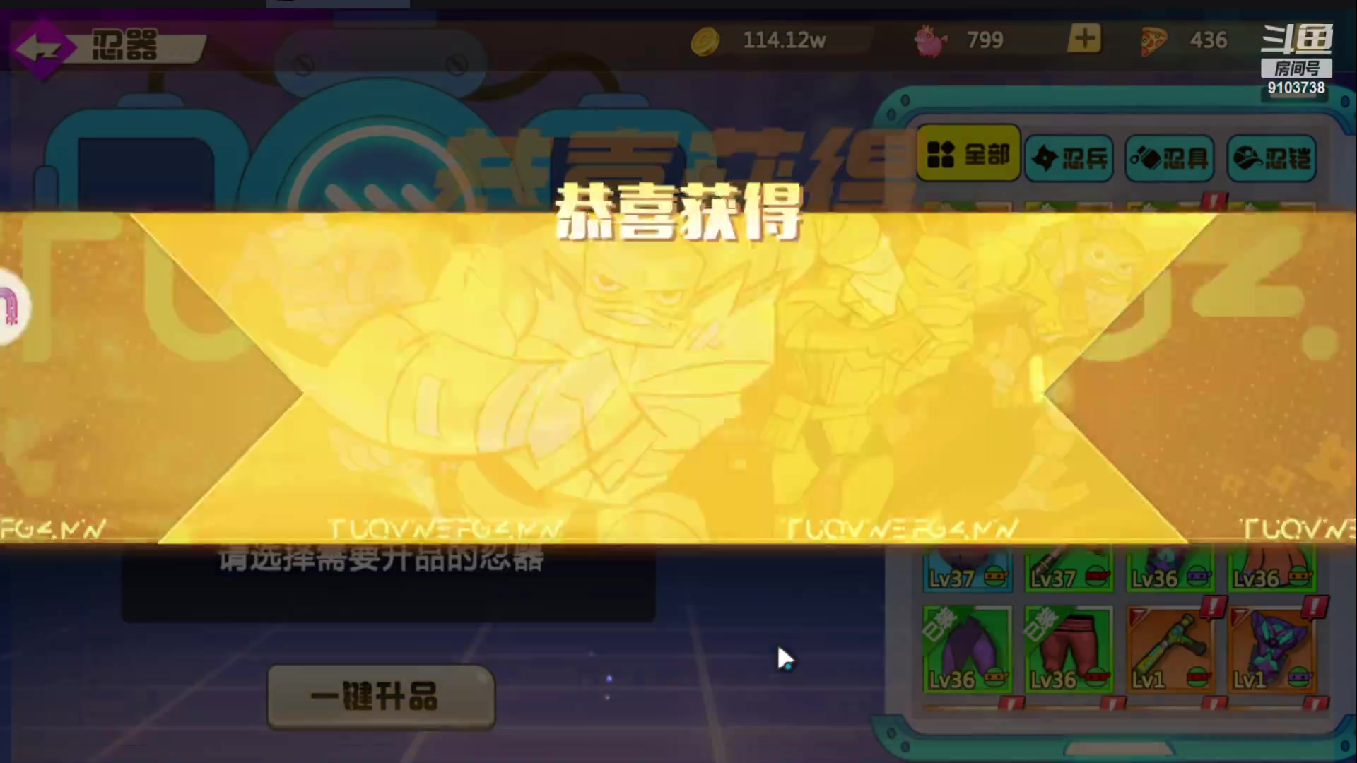 【2023-2-12 13点场】冬眠的猫熊F:忍者龟；萌新
