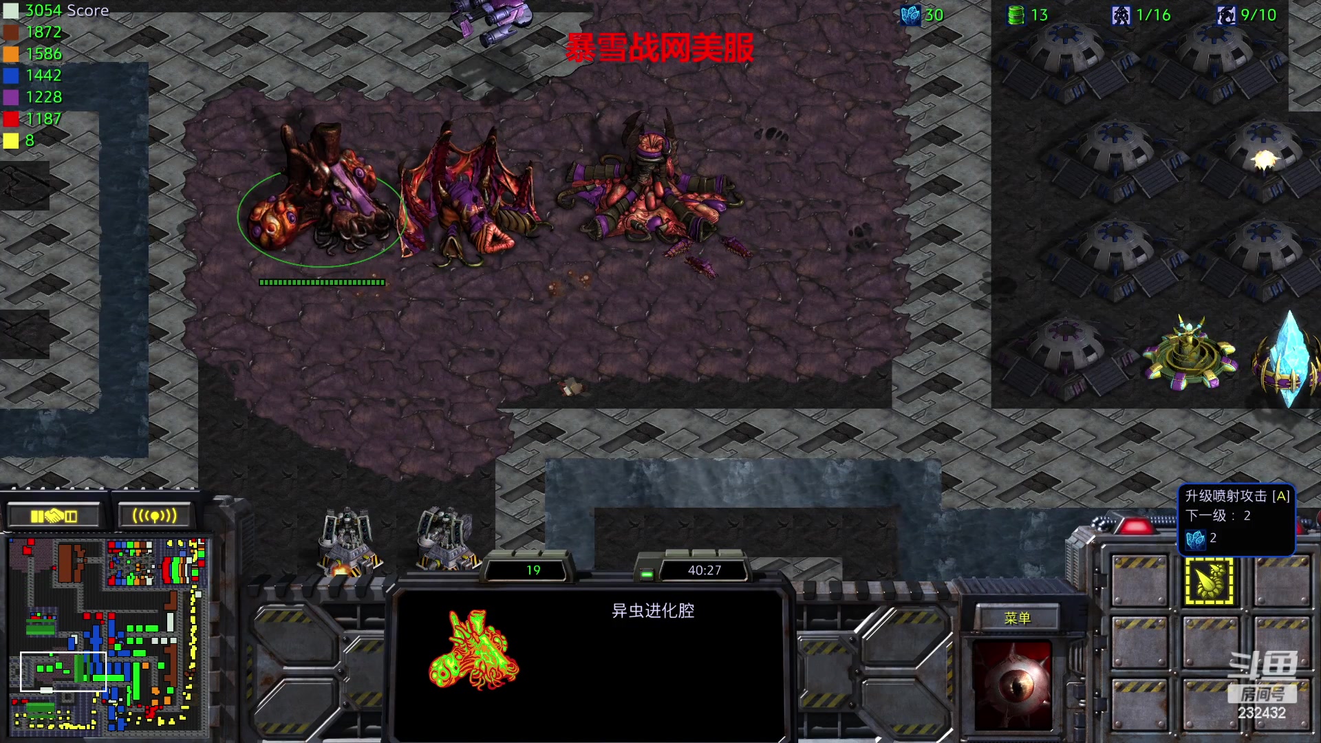 【2023-02-11 05点场】星际DSA联赛：国服没了！