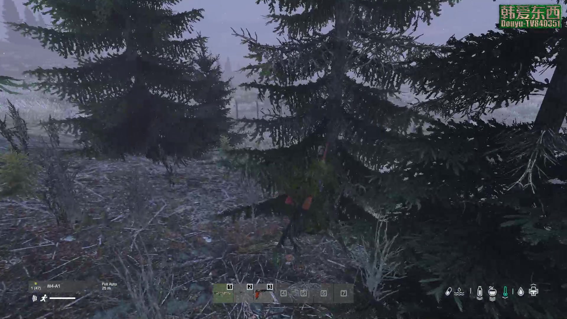 【2023-02-13 18点场】dayz韩爱东西：如果我不回答你问题 就是直播录像
