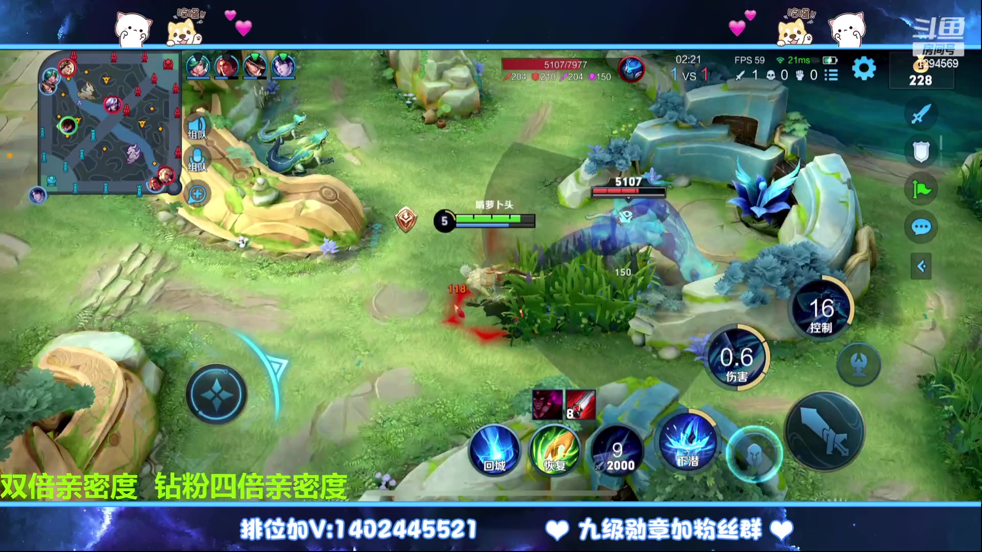 【2023-02-13 22点场】毕竟是柚子：微信带粉上荣耀走起~