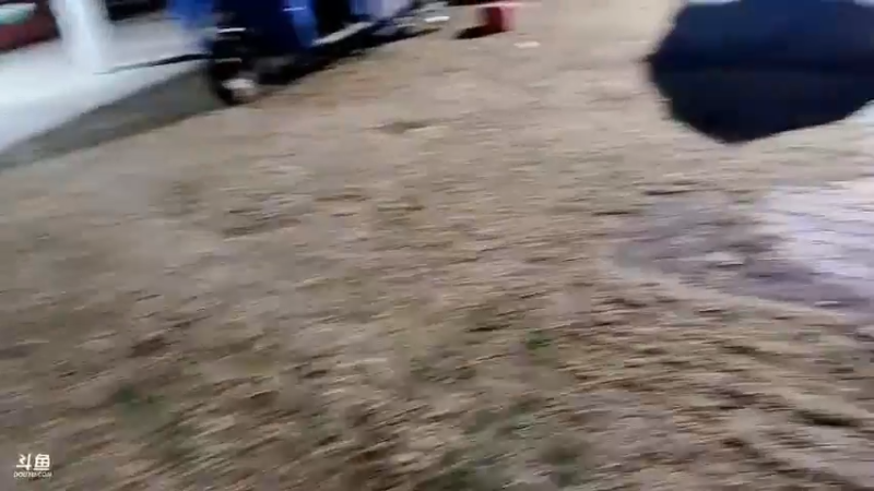 肖哥和美女聊天很有意思，不知道美女多重