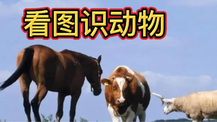 BBD解说三国杀国战 牛马成群 武器大师