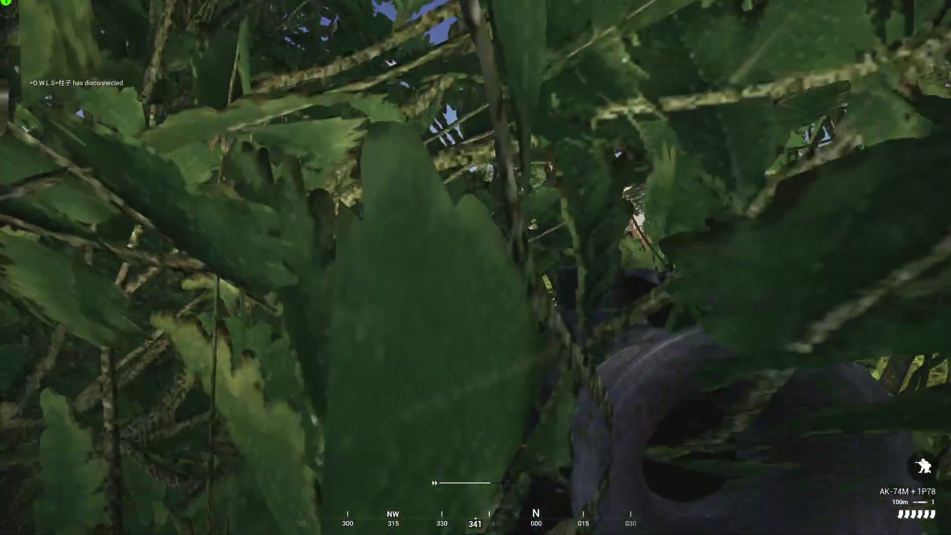 【2023-02-13 14点场】陶可可coco：魔女可#biabiabia再姜丝