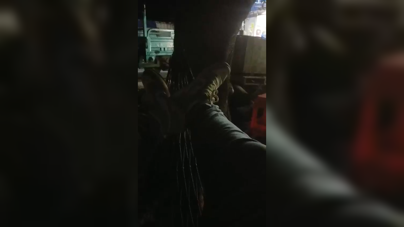 吊床有人玩过吗