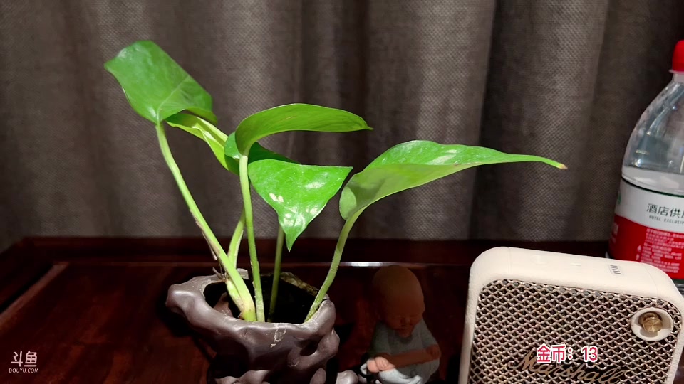 【2023-02-14 01点场】douyu小漠：户外街头计划day2 ！24小时不关！