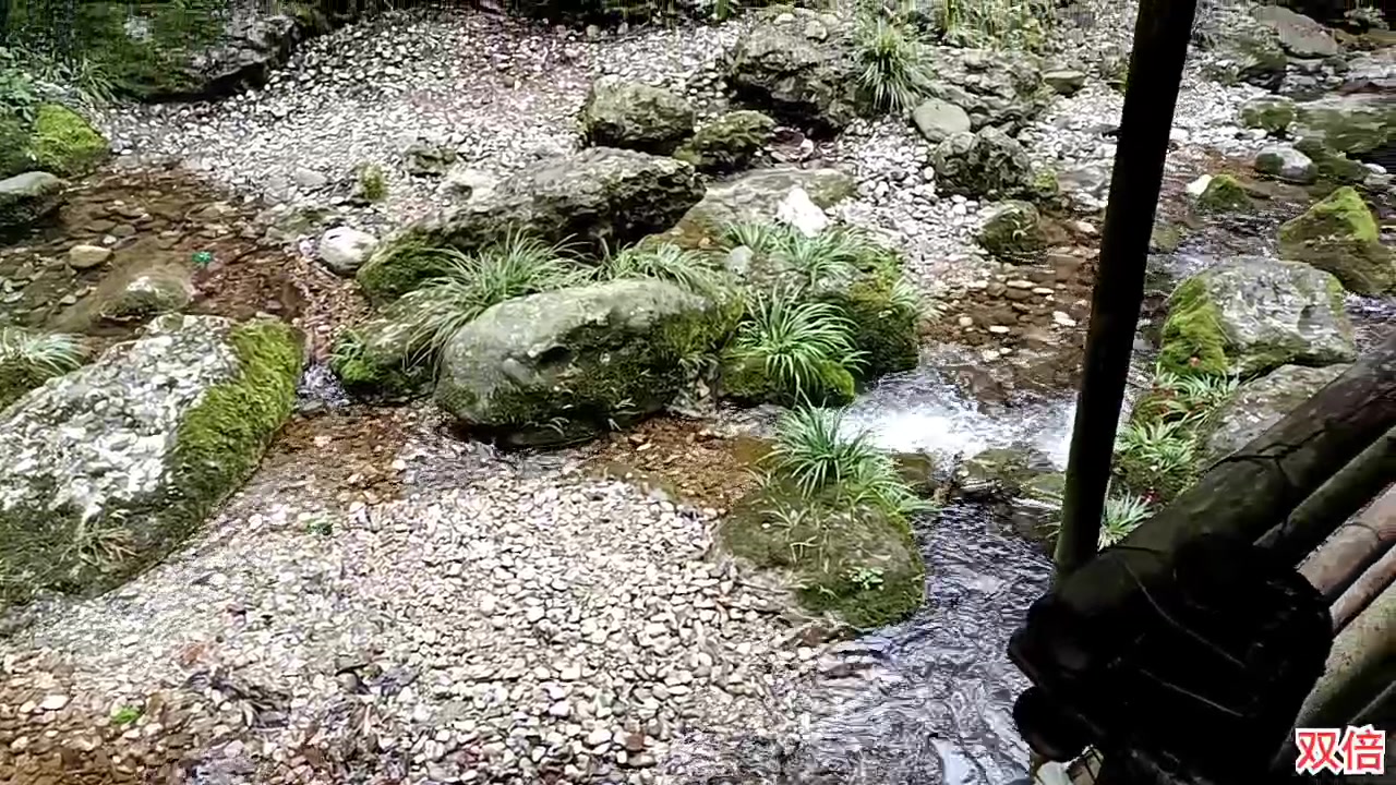 【2023-2-14 11点场】o北京斌子o:青城山！！