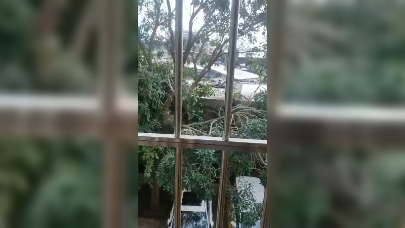 家里的日常