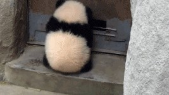 znbs