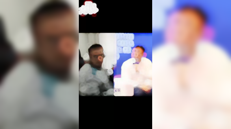 再也不是“呆头鹅”