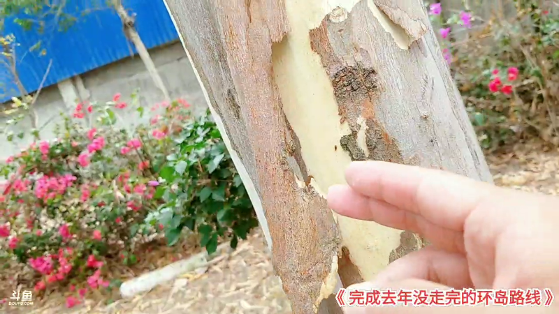 【户外】主播食神高德的精彩时刻 20230215 12点场