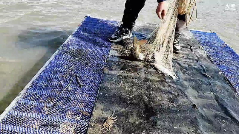 【户外】微山湖捕鱼武工队的精彩时刻 20230215 13点场