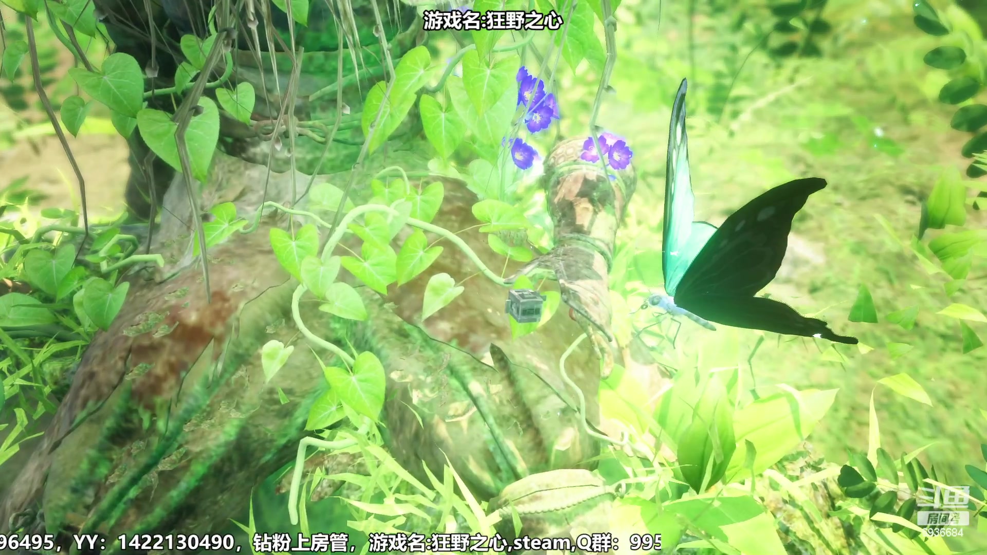 【2023-02-14 10点场】我们的渺渺：❤️狂野之心~抢先首播~野的不要不要的!