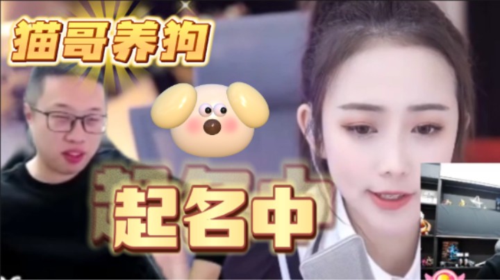 【大龙猫】要养小狗啦，起什么名字好呢