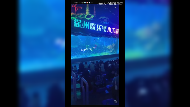 海洋馆水下表演