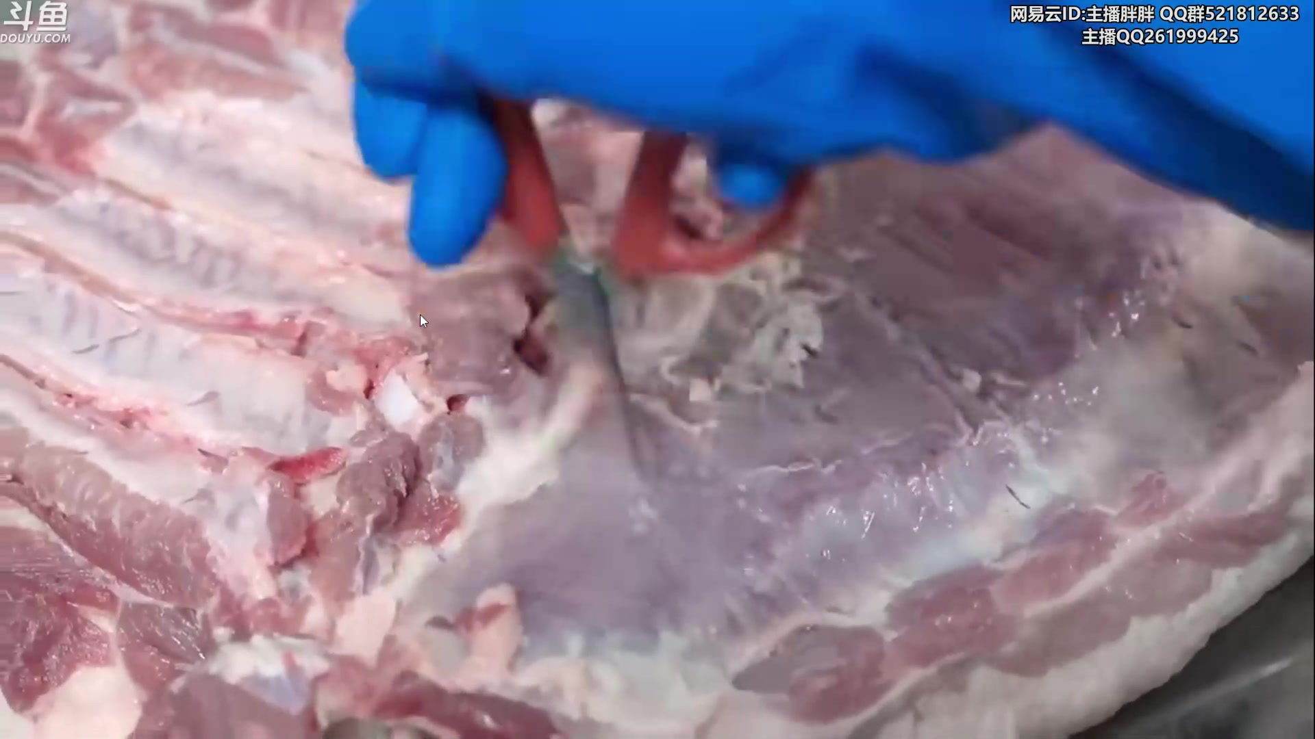 【2023-02-16 01点场】胖胖灬：胖胖OB：EDG强啊，中华有E！！