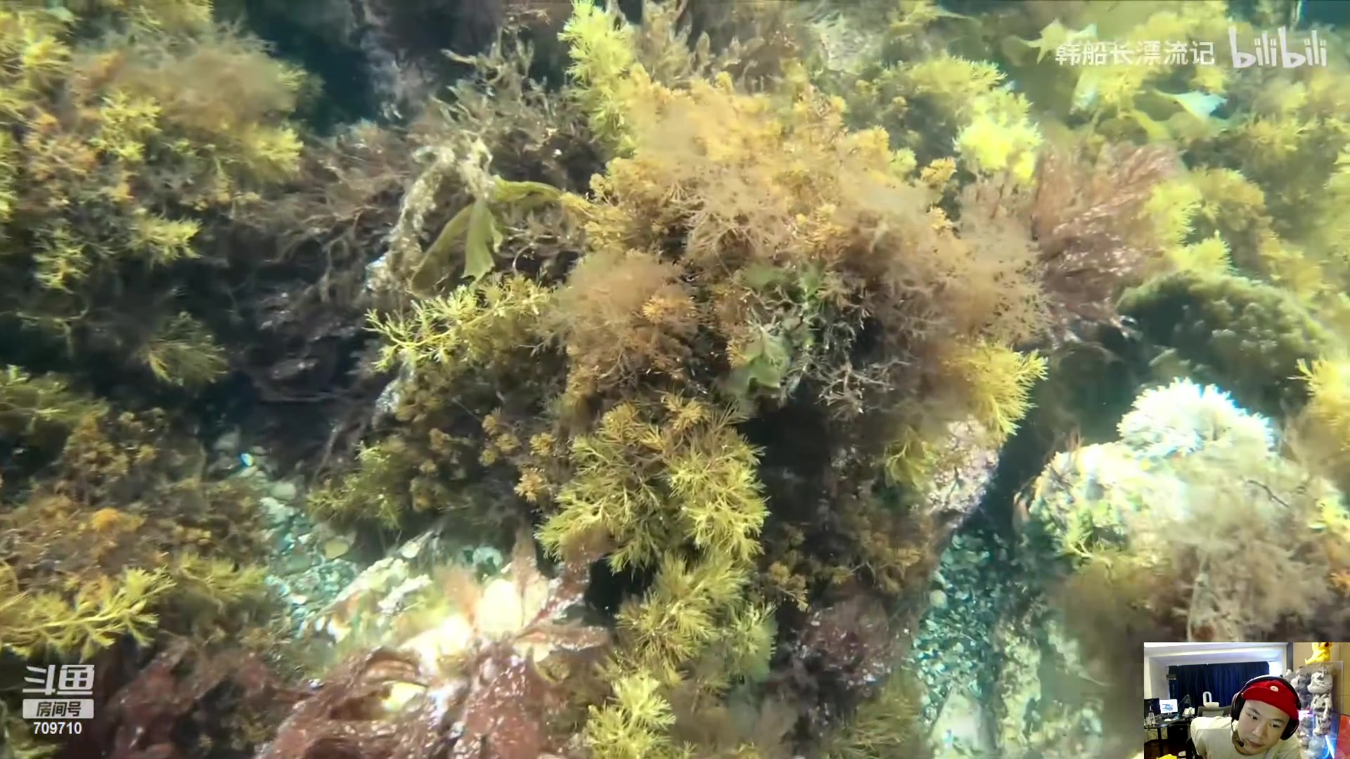 【2023-02-16 12点场】imxiaoxin：【✘-✘】黑白双煞