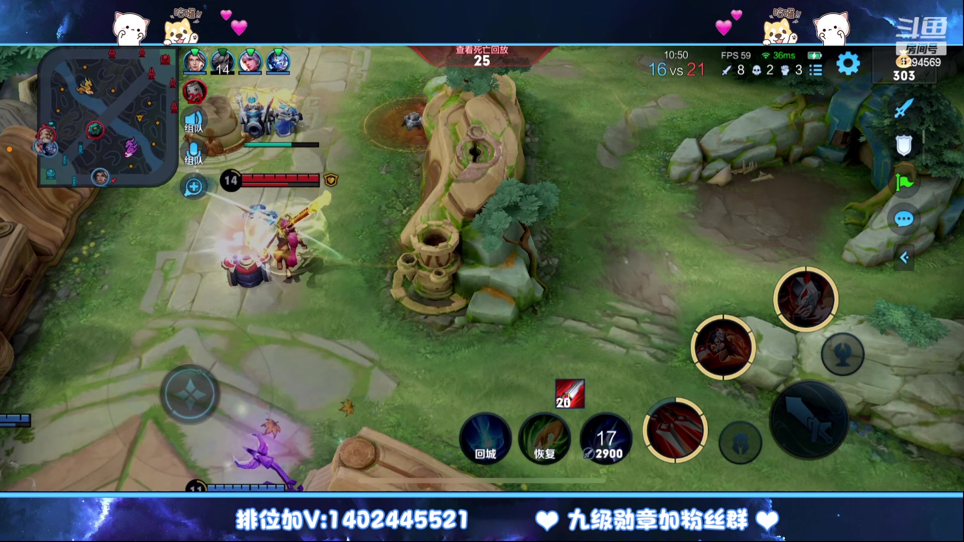 【2023-02-16 01点场】毕竟是柚子：微信带粉上荣耀走起~