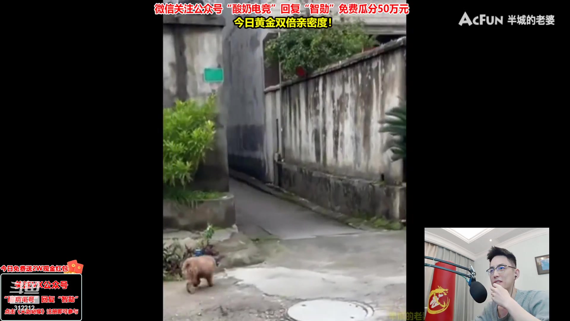 【2023-02-17 19点场】智勋勋勋勋：【今日送2W】重生之我是陪玩~
