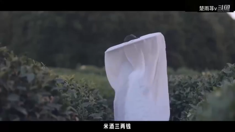 我在等风也等你-混剪