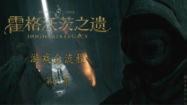 《霍格沃茨-遗产》游戏全流程第七集 :) 可怕捏