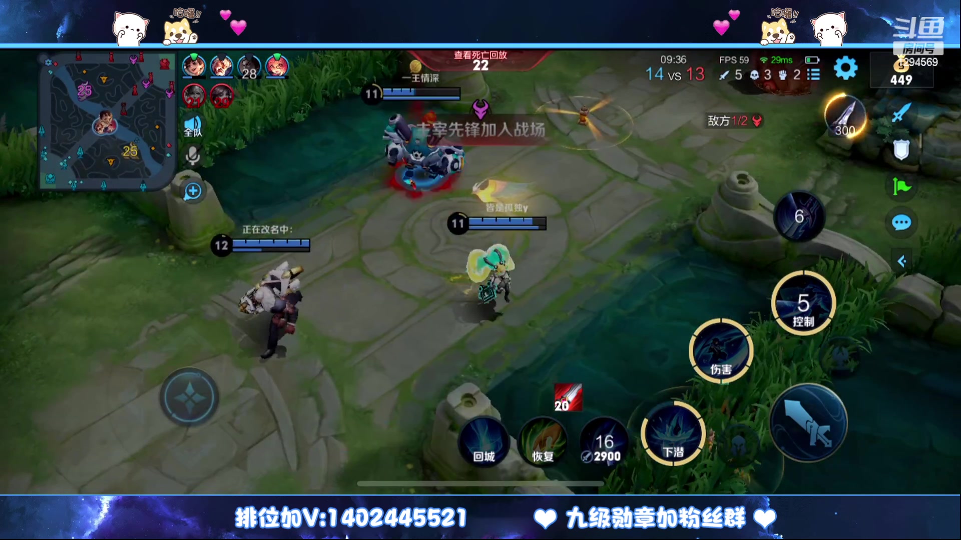 【2023-02-17 14点场】毕竟是柚子：微信带粉上荣耀走起~