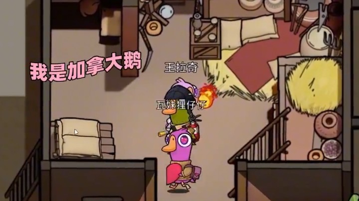 加拿大引发的血案