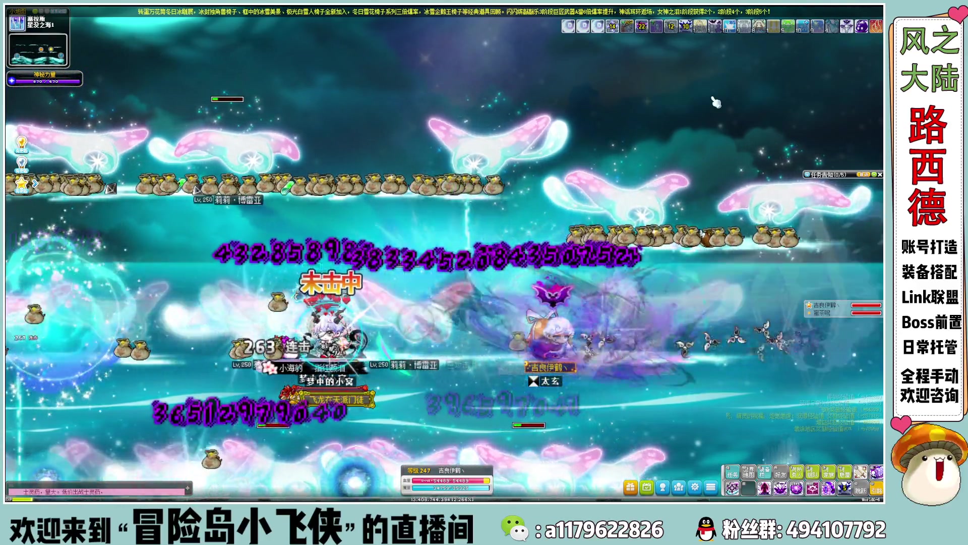 【2023-02-12 11点场】冒险岛小飞侠：Link联盟  新手指导