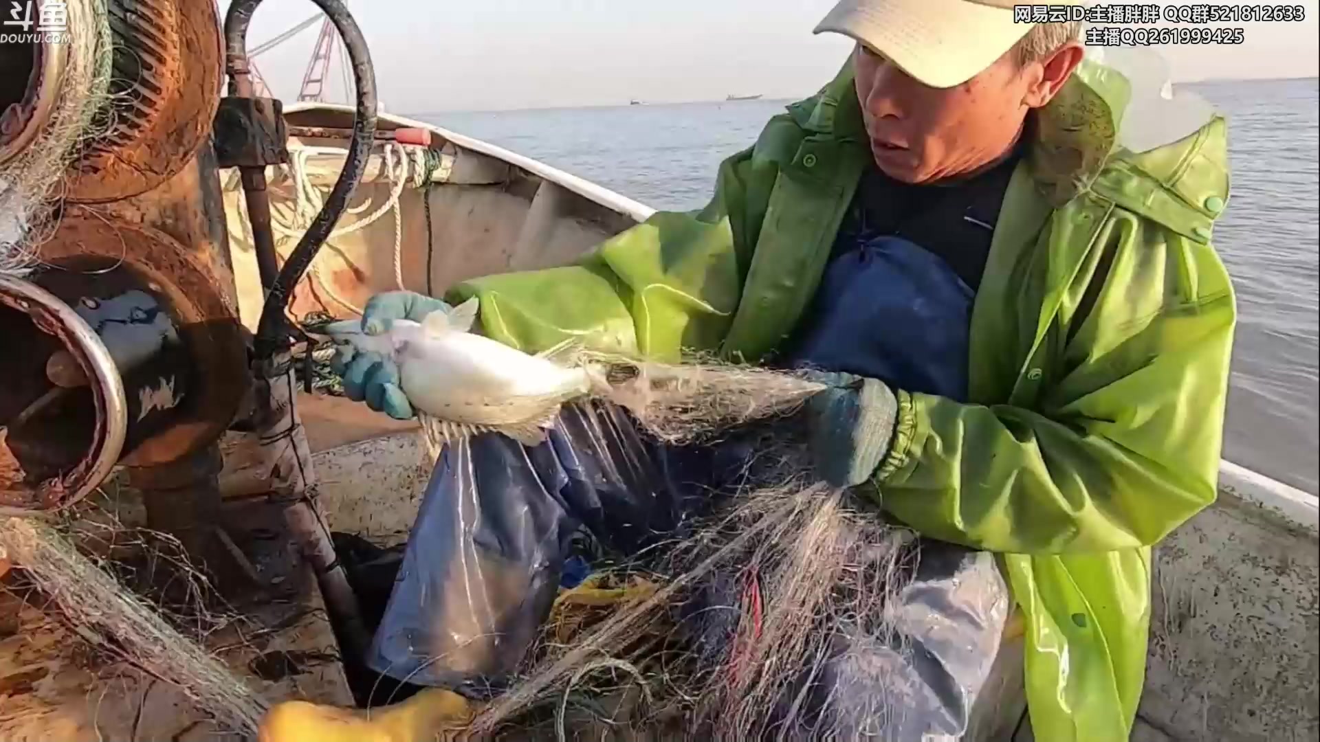 【2023-02-17 02点场】胖胖灬：胖胖OB：韩服全明星TES WB JD