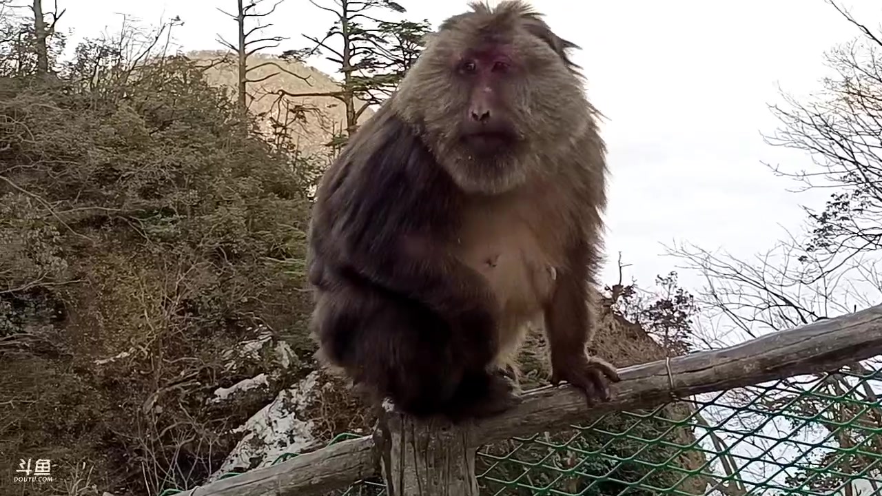 【2023-2-17 17点场】o北京斌子o:峨眉山！！