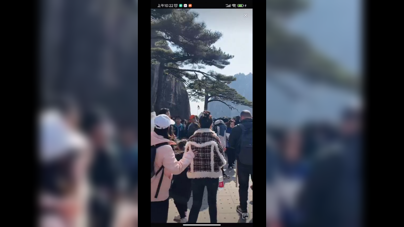 今天早上很多游客来看迎客松，来合影的