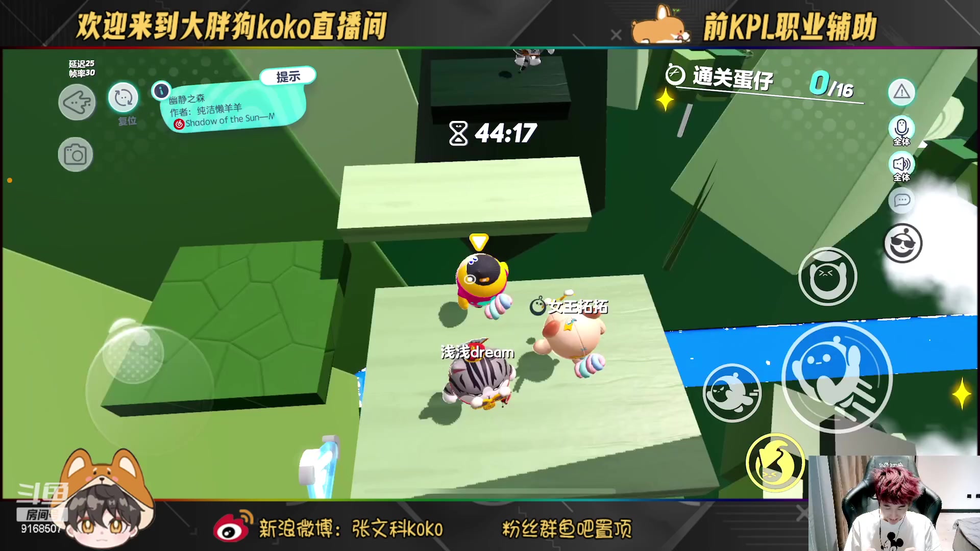 【2023-02-18 20点场】大胖狗koko：斗鱼最强辅助 5排表现