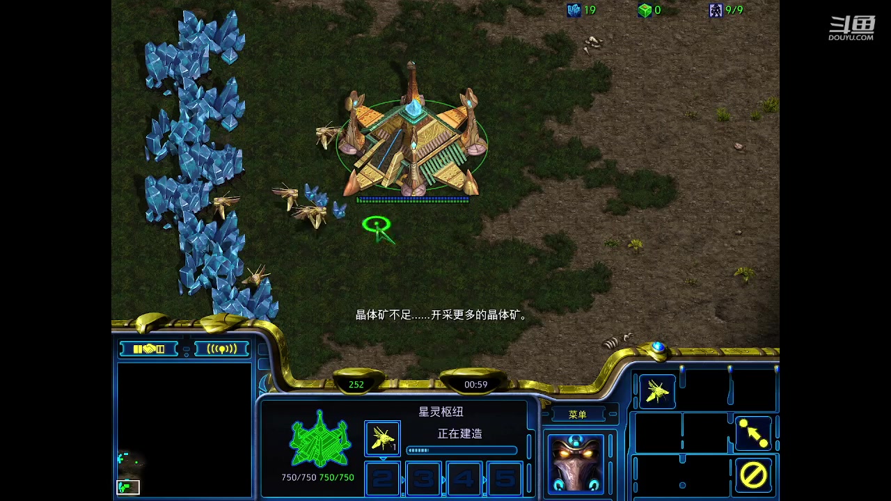 VS面哥