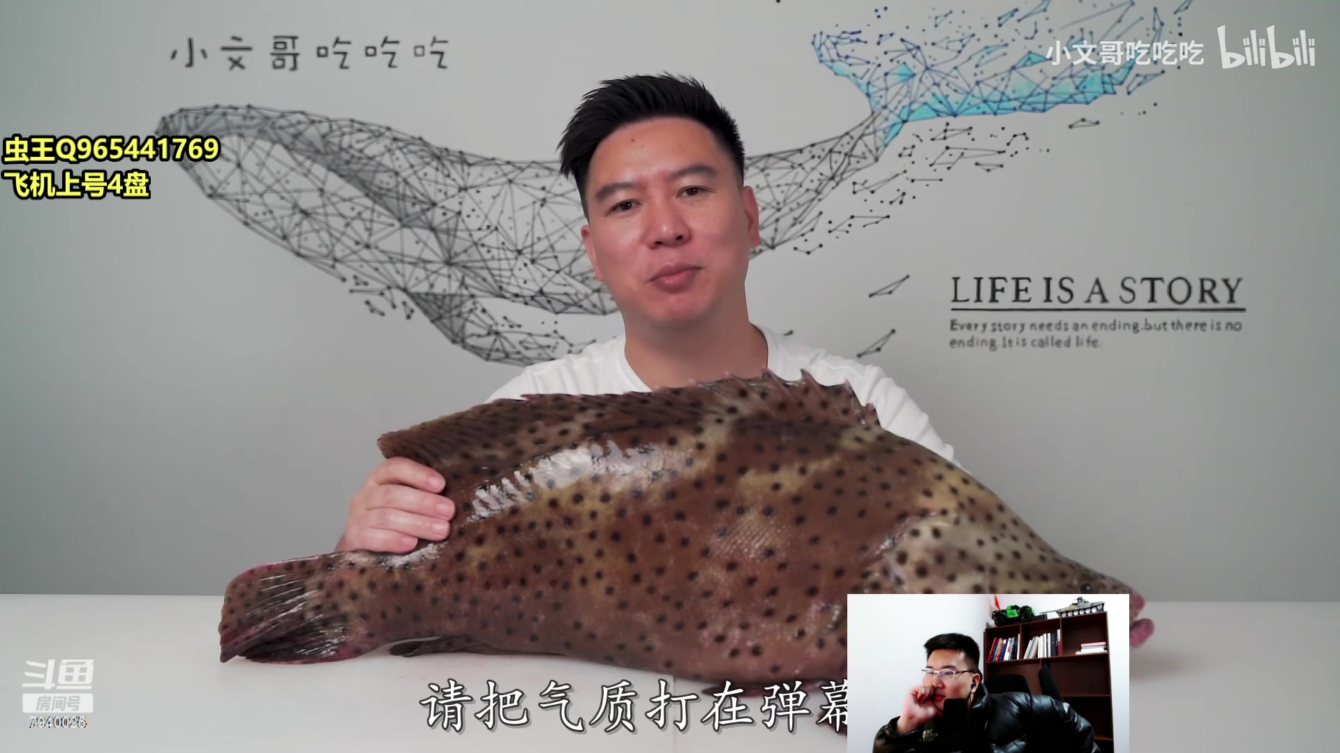 【2023-02-19 18点场】Chogod虫王：虫王：峡谷历险