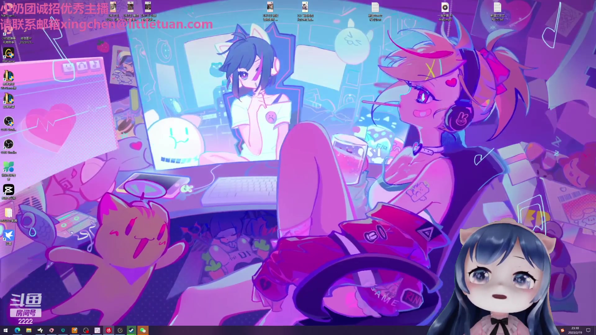 【2023-02-19 23点场】一条小团团OvO：新的一周来啦~~