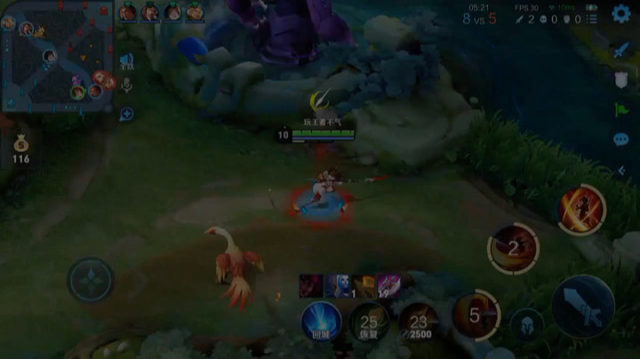 王者小视频8