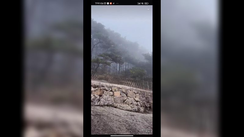 今天黄山大雾，远处白茫茫，看不清