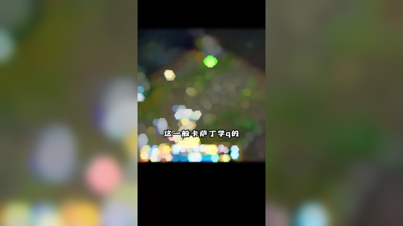 中单皇子VS虚空双胞胎