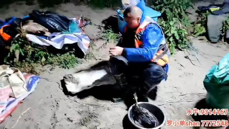 流云哥五手出5000的世纪婚礼，肖哥好开心