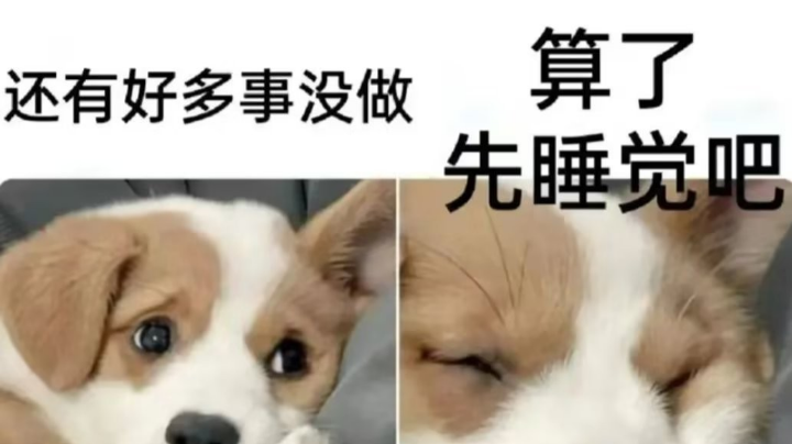 【2023-2-19 20点场】柳小灾:一年一度的鸡飞狗跳的闹心55